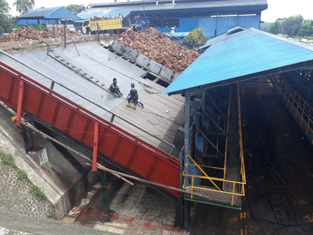 Apa itu Loading Ramp? dan Fungsi nya di Pabrik Kelapa Sawit - PT